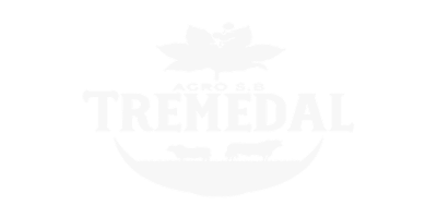 logo-cinza 1