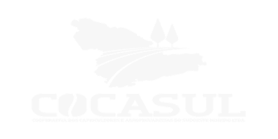 logo-cocasul-cinza 1