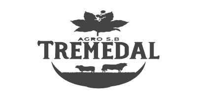 logo cinza