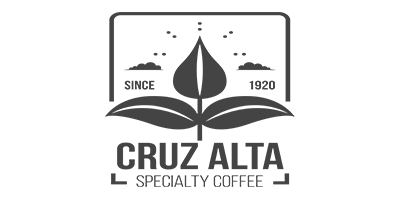 logo cor cinza
